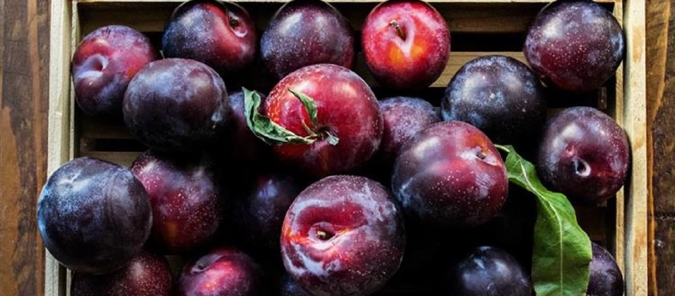 Γνωρίζεις τις βανίλιες και τα πολλαπλά οφέλη τους;